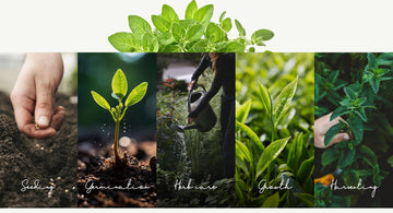 FreshDrinkUS – Quality Beyond Measure