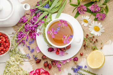 Top Herbal Tea Mixes Compilation by FreshDrinkUS – Awaken Your Natural Vitality