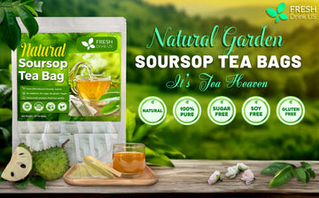 Unveiling the Health Marvels: The Benefits of Soursop Leaves Tea