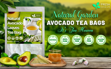 Avocado Leaves Tea: a Nutrient-Packed Brew with Numerous Health Benefits