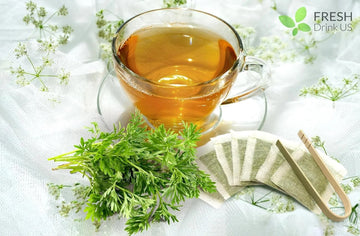 5 Benefits of Mugwort: Exploring Its Wonders for Mind, Body, and Soul