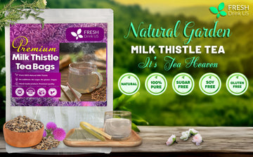 Milk Thistle Benefits: Exploring Its Potential for Health and Wellness