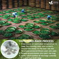 Natural Avocado Whole Leaves Dried, Tea Bags, 100% Pure from Avocado Leaves, Avocado Leaf Tea, Hojas de Aguacate Seca, No Additives, No Caffeine, Vegan - FreshDrinkUS - Natural and Premium Herbal Tea