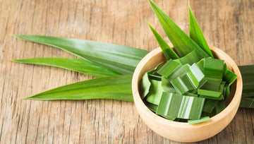 3 Easy Pandan Desserts You Can Make At Home