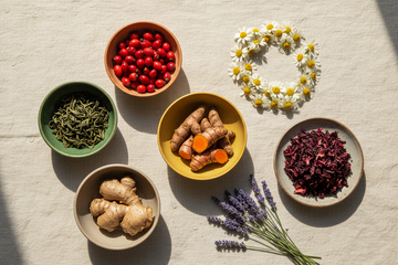 7 Antioxidant Herbs That Help Support Skin Health and Natural Glow