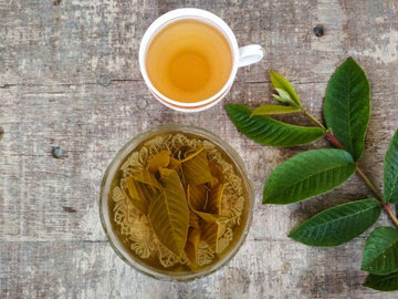 Guava Leaf Benefits for Health: A Natural Herbal Ingredient for Daily Wellness