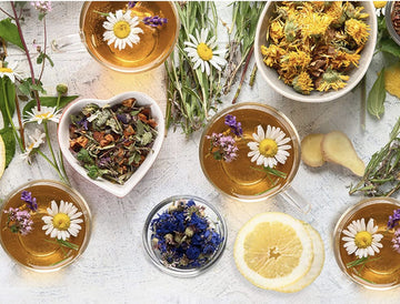 The Benefits of Drinking Tea Before Bed