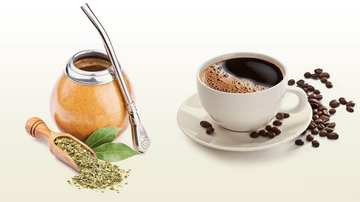 Yerba Mate vs Coffee: Which Is Better for Daily Energy?