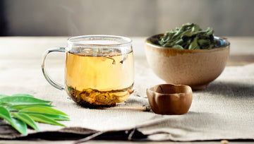 Soursop Powder (Graviola): Health Benefits and Uses