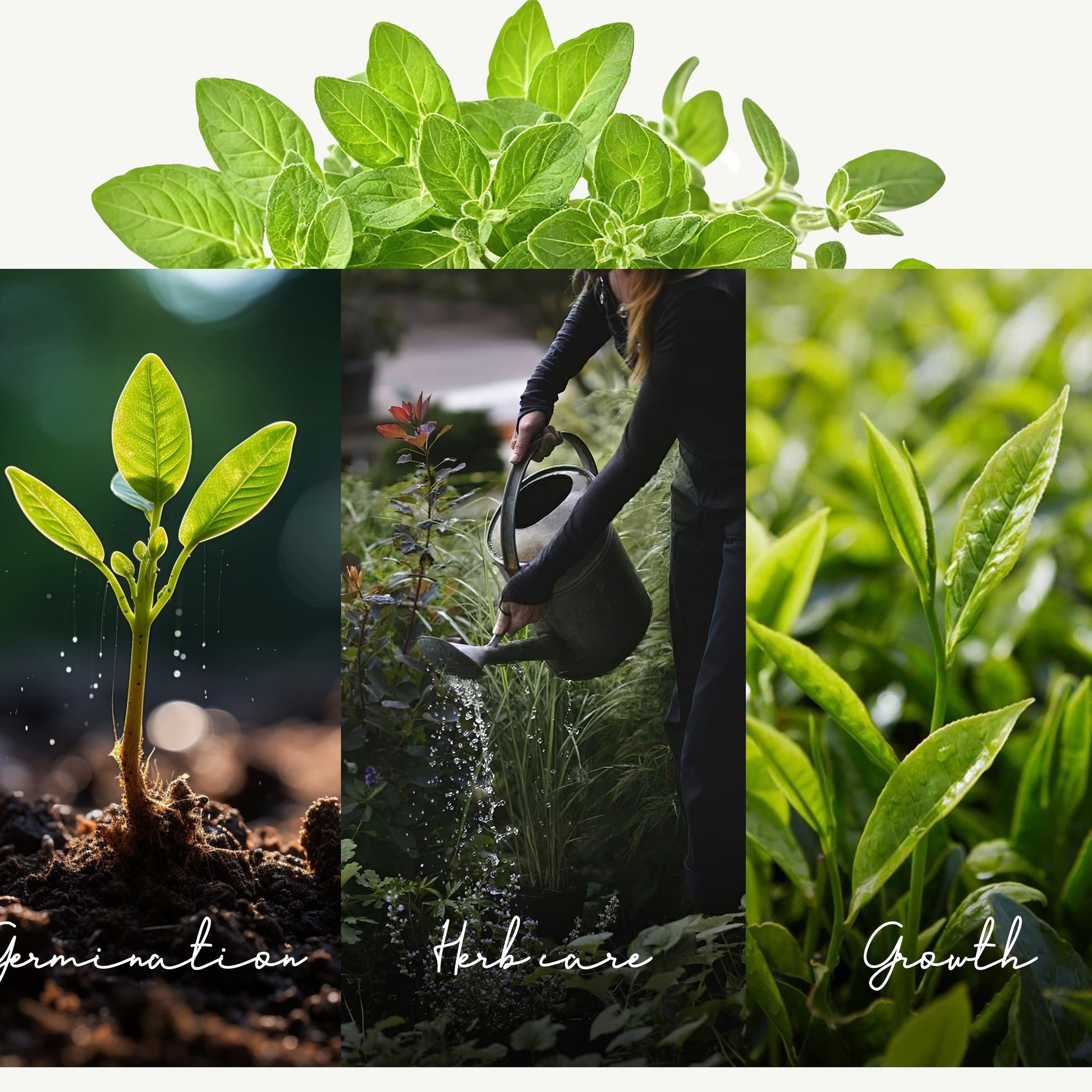 FreshDrinkUS – Quality Beyond Measure