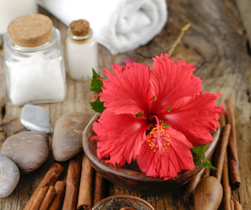 Hibiscus: The Natural Beauty Secret For Healthy Skin And Hair