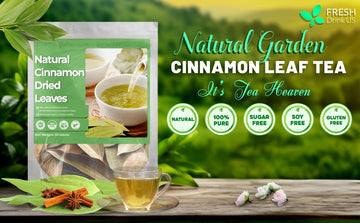 The Bold Chronicles of Cinnamon: Navigating the Terrain of Cinnamon Leaves and the Mastery of Cinnamon Tea