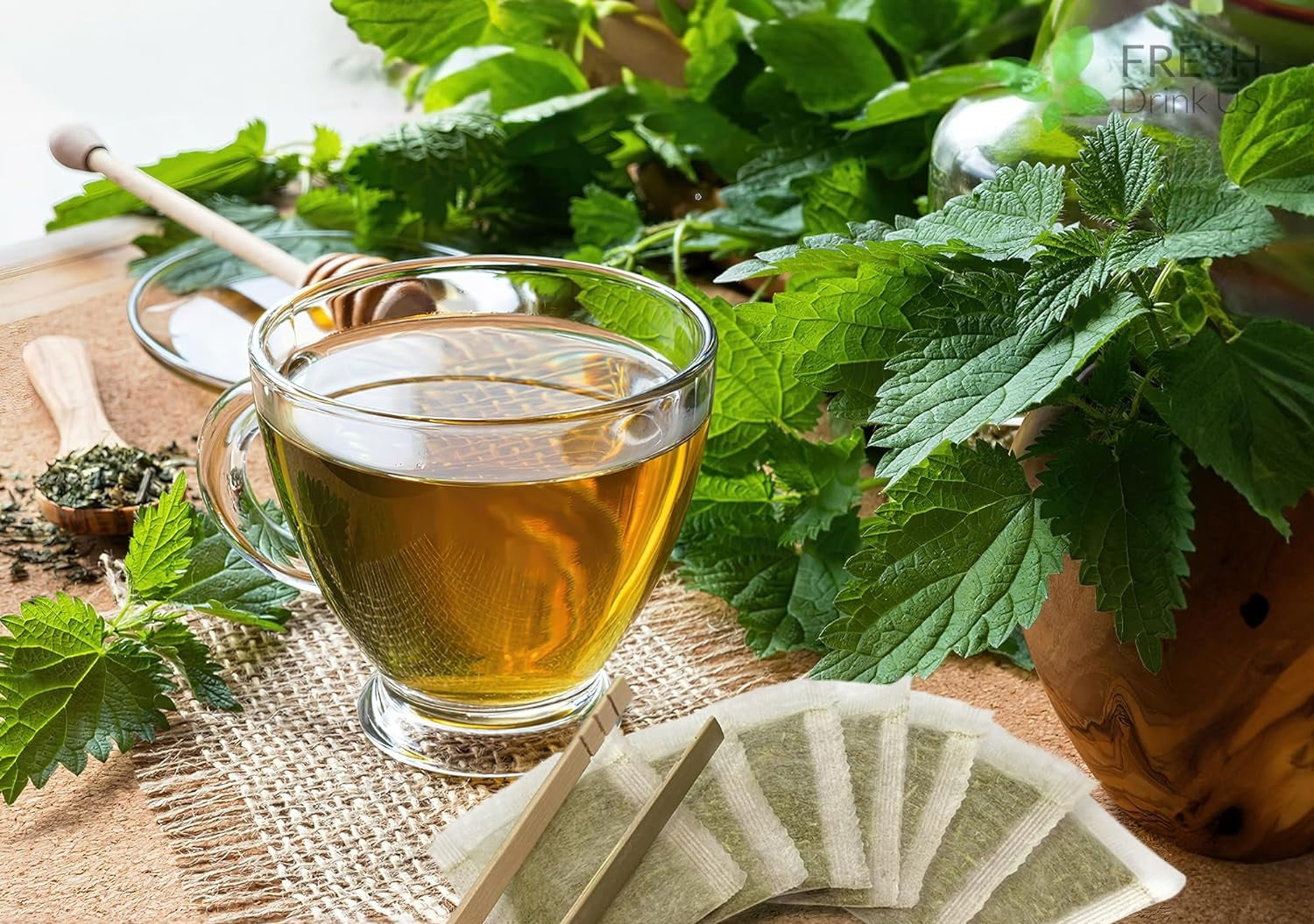 Embrace the Healing Power of Nettle Leaf: 7 Reasons to Make it Your New Wellness Staple