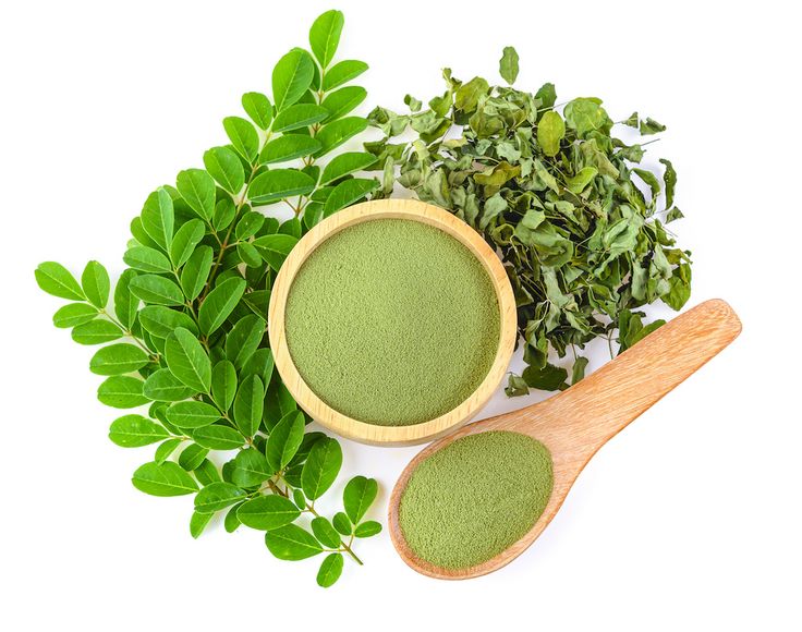 Decoding Moringa – A Tiny Leaf With Mighty Energy