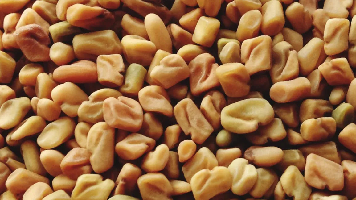 Fenugreek Seed: A Natural Hair Health Elixir