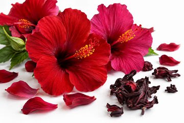 Hibiscus : Benefits, Science &amp; How to Brew the Perfect Cup