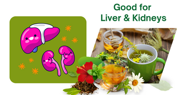 Is Drinking Herbal Tea Daily Good For Your Liver And Kidneys?