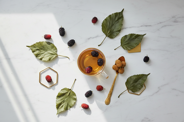 Mulberry — The Golden Key to Whole-Body Balance