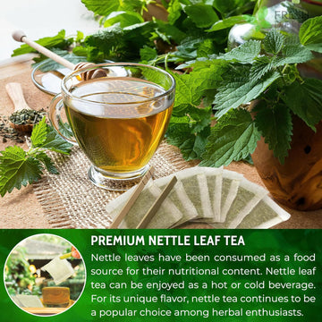 Nettle Leaf Tea