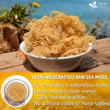 Sea Moss