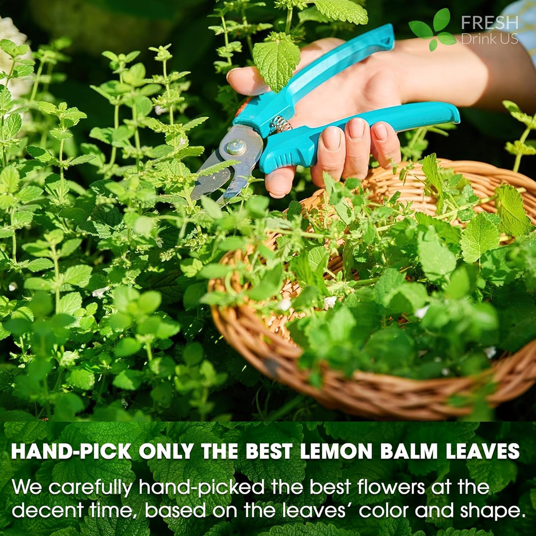 Lemon Balm Leaves
