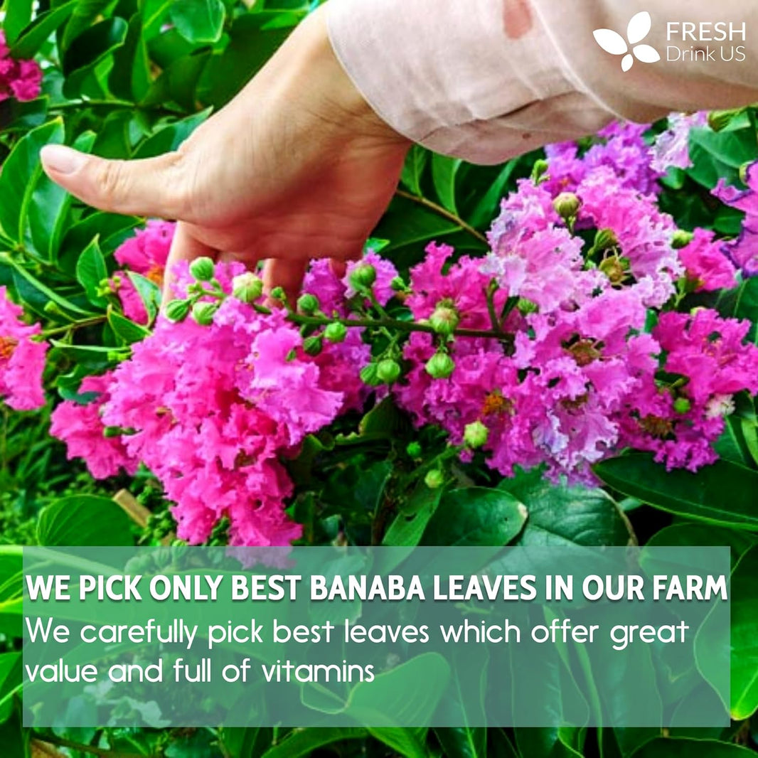Banaba Leaves Tea