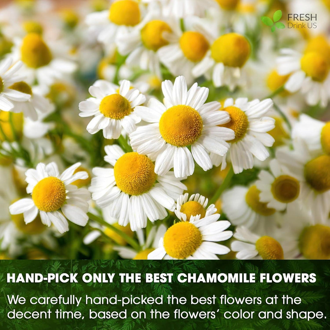Chamomile Tea Bags, 100% Natural Chamomile, Freshly Picked, Naturally Dried Chamomile, Hand-made, Biodegradable Tea Bag - FreshDrinkUS - Natural and Premium Herbal Tea