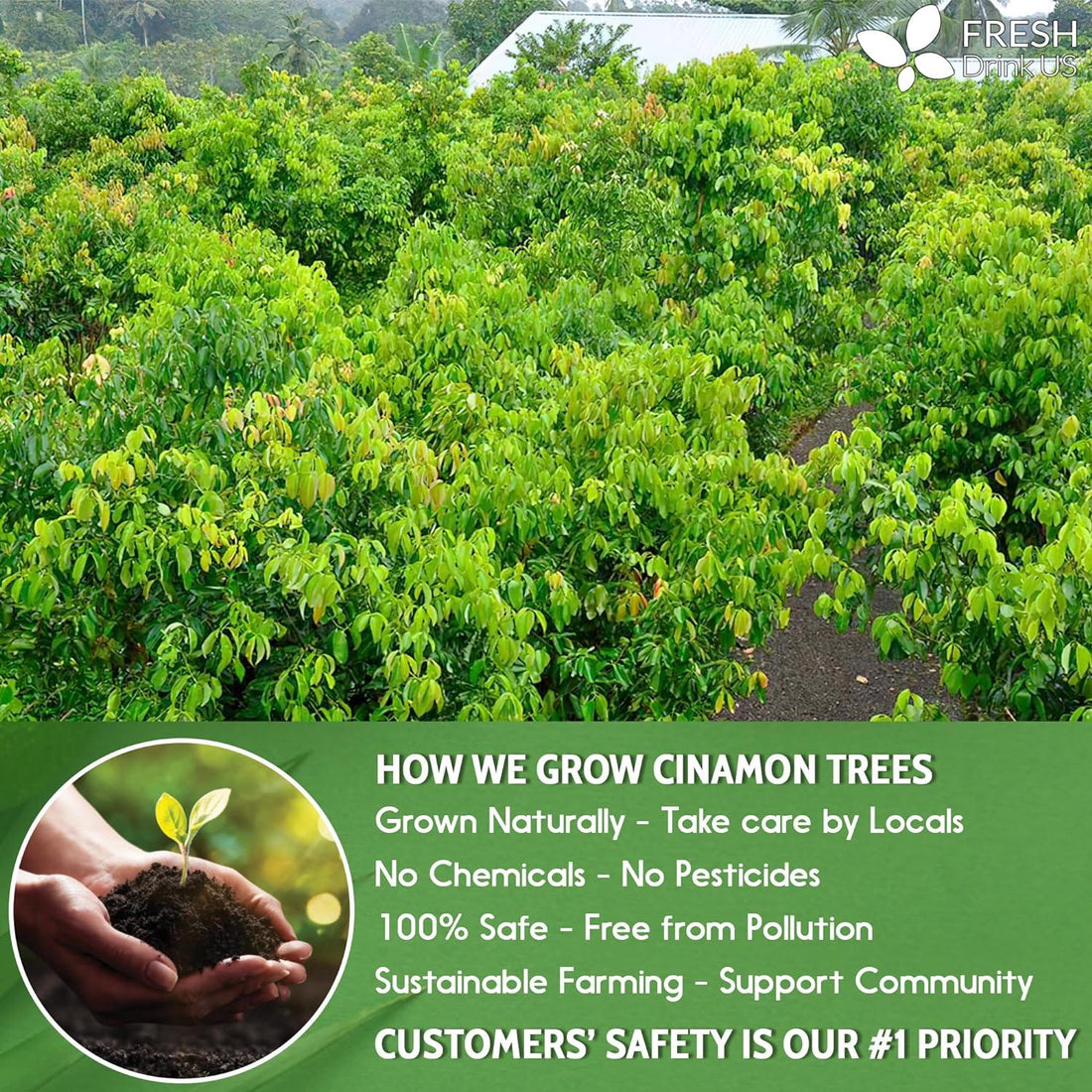 Natural Cinnamon Leaves, Whole Dried Cinnamon Leaves, Tea Bags, 100% Pure from Dried Cinnamon Leaves, Cinnamon Leaf Tea, No Additives, No Caffeine, Vegan - FreshDrinkUS - Natural and Premium Herbal Tea