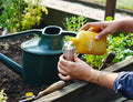 Bio Insecticide - Arber