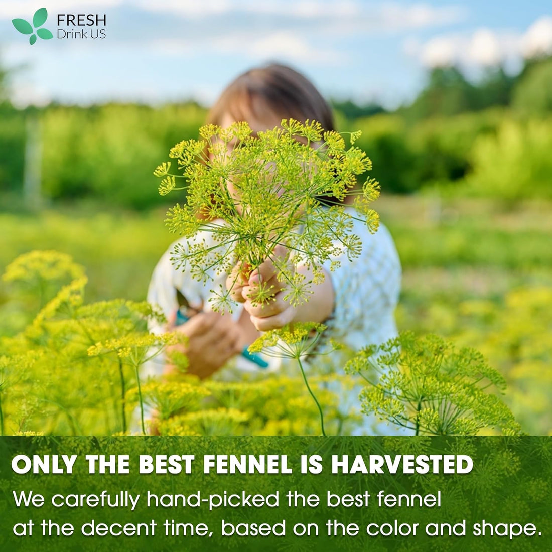 FreshDrinkUS Morning Vitality Digest & Detox Mix, Fennel, Ginger & Lemongrass Herbal Tea Bags Bundle, 100% Natural & Pure Seeds and Leaves, No Sugar, No Caffeine, No Gluten, Vegan, Biodegradable Tea Bags, Hand-Made Process – Herbal Beverage